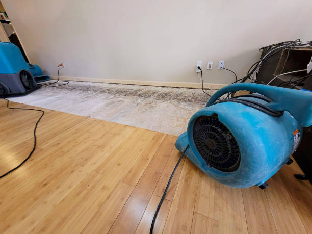 Professional Ceiling Water Damage Repair technician working in Avila Beach, CA